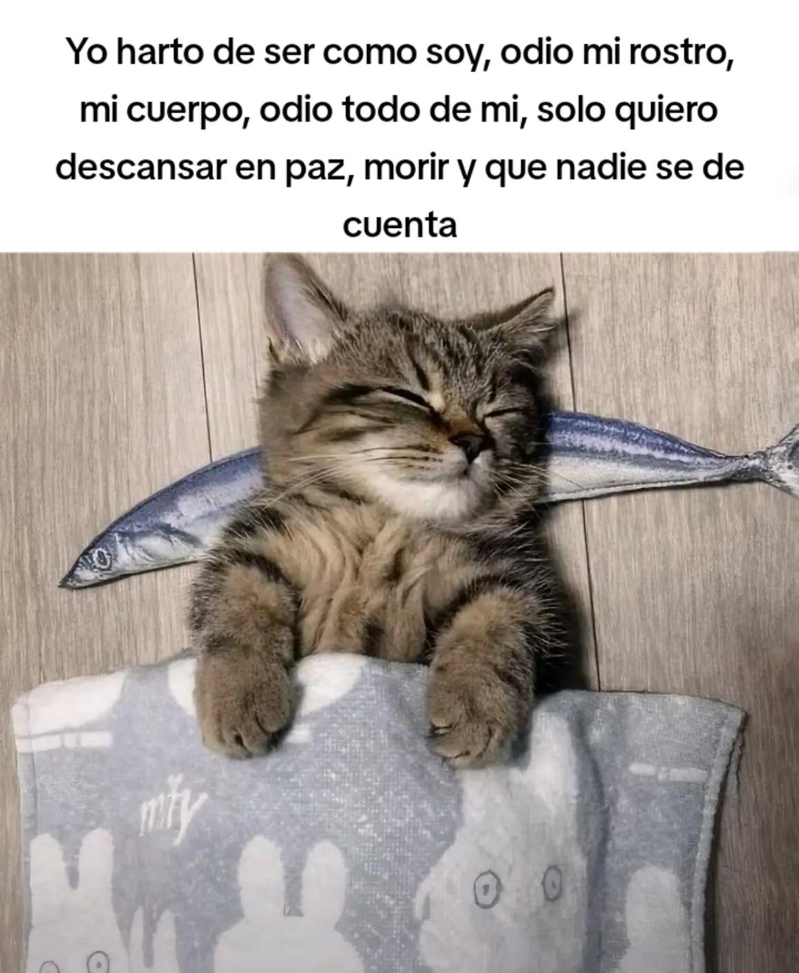 @Alexis - Kun🦇
