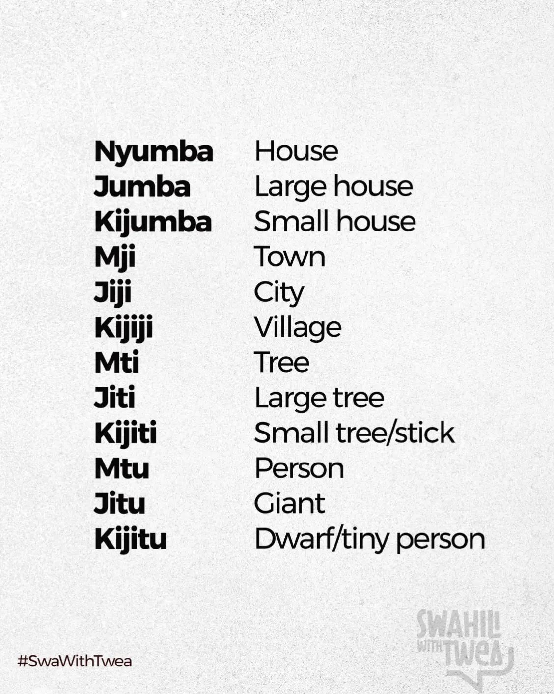 @Swahili With Twea