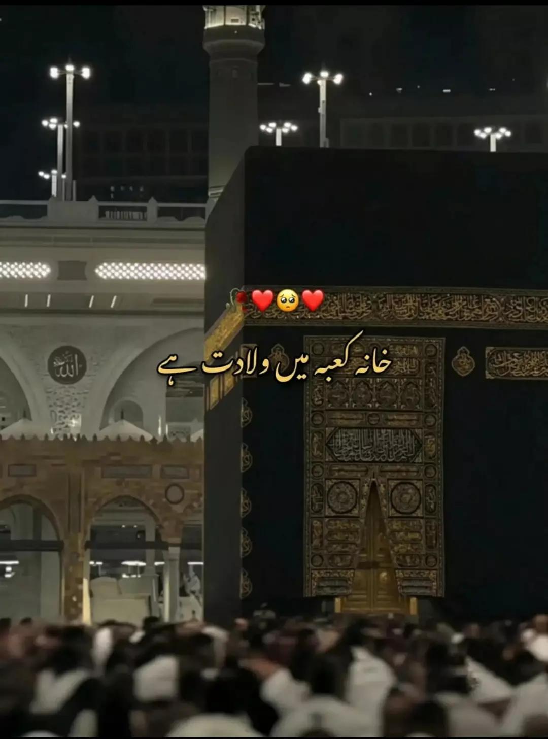 @🚩شاہ جی کہتے ہیں🚩