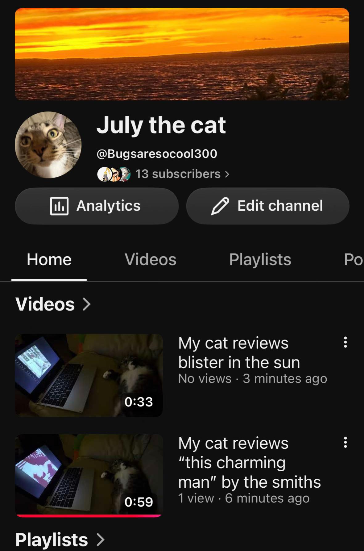 @Buglover6000