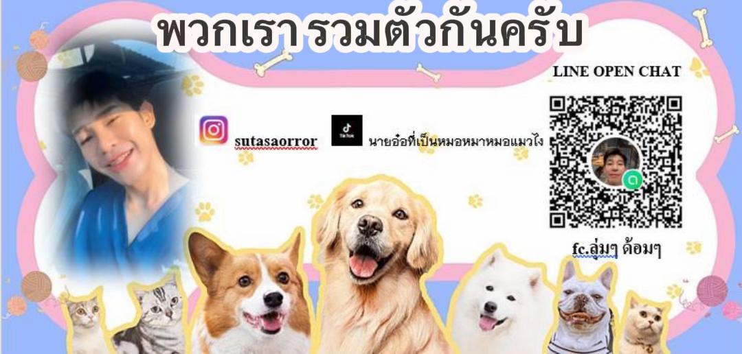 @นายอ๋อที่ตาแดงแพ้กุ้ง👨🏽&zwj;⚕️