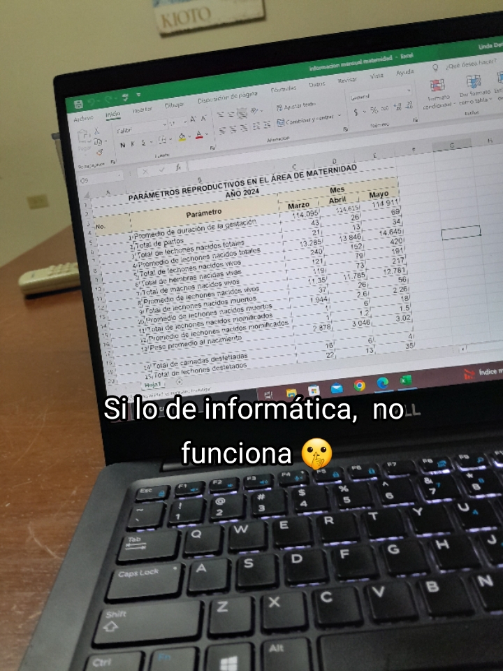@PROMO 2024 INFO.😜