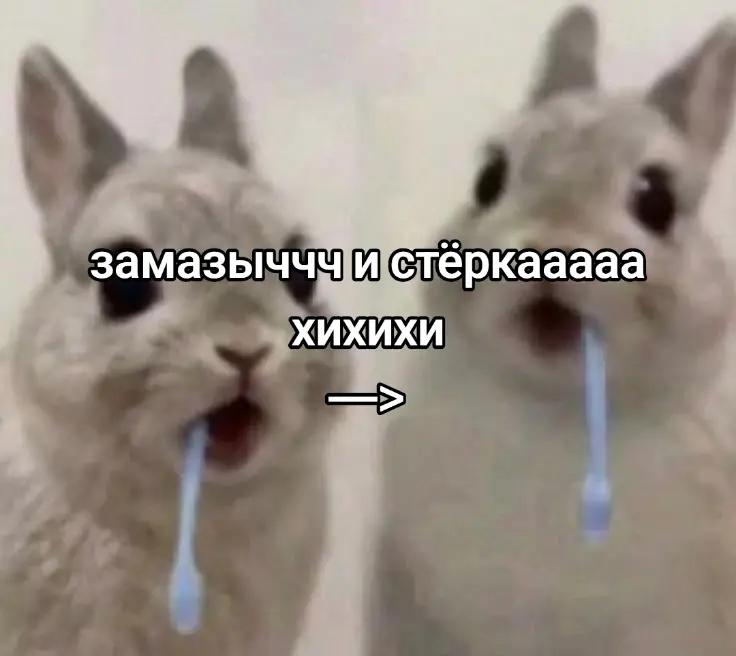 @чокопао 🍅