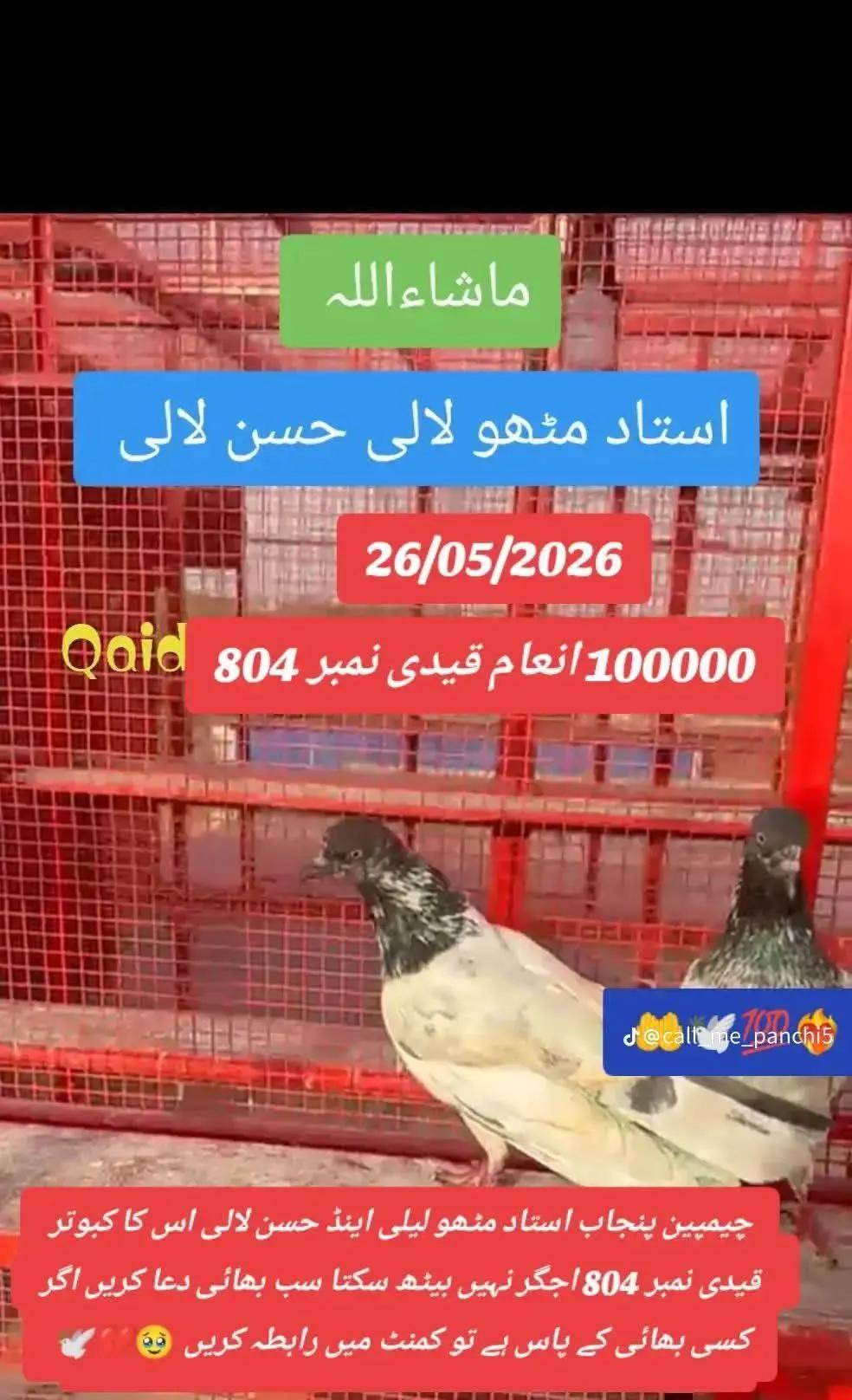 @🦅🦅فیصل بٹ 🦁🦁
