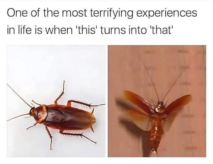 @Amy Lee