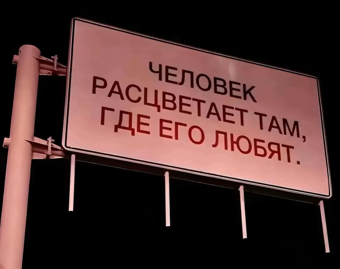 @alinkanueby6