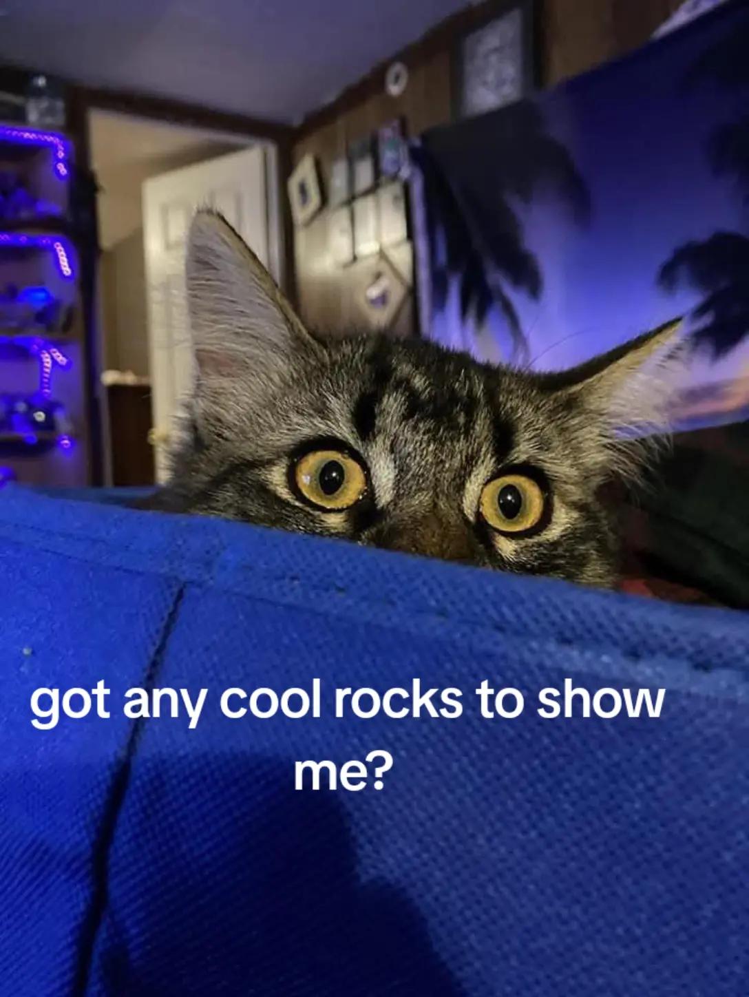 @rocksarecoolorsomeshit