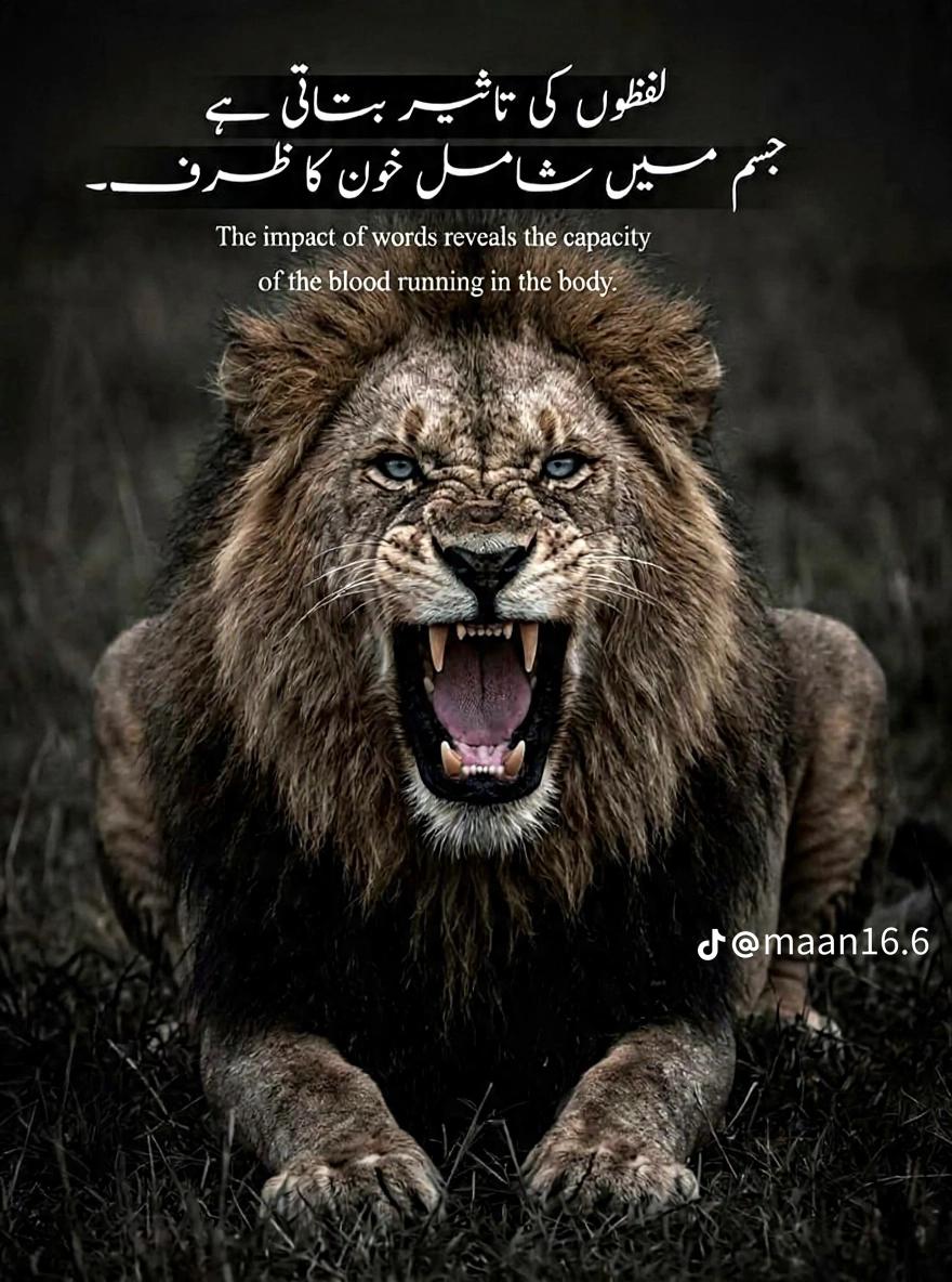 @❤️ھارب لون 😘