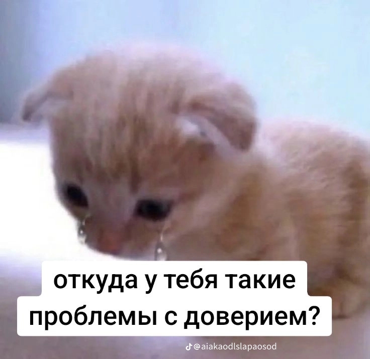 @🤍Такошшш🤍