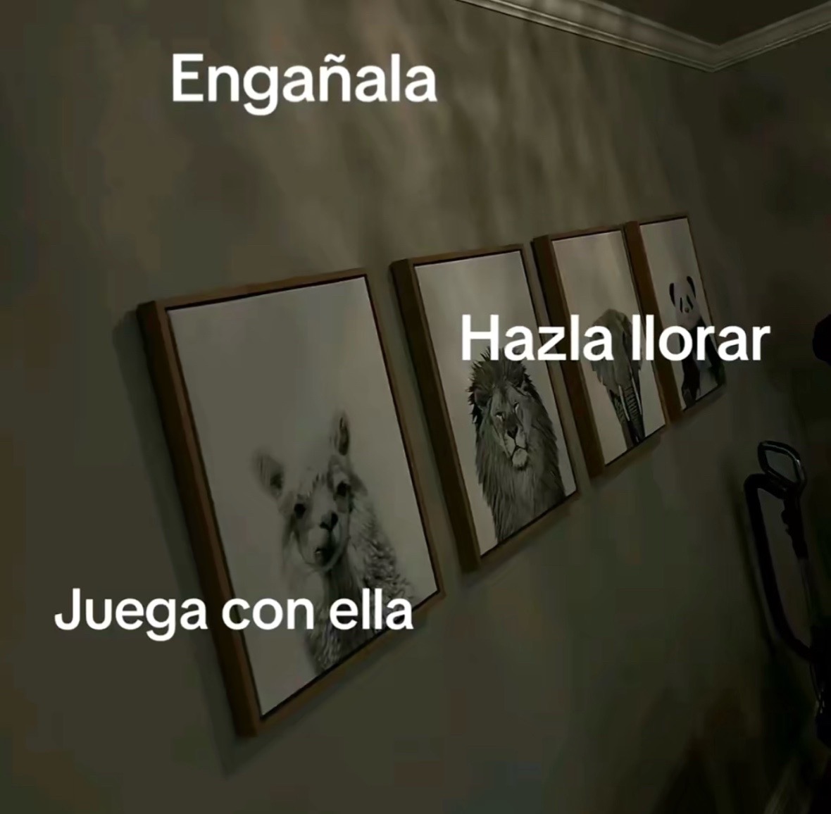 @Elcubanitivr