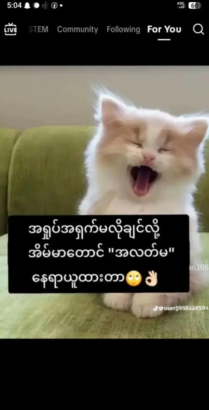 @Nan Phaw Eh๐ณ๐ฑ๐ณ๐ฑ๐ณ๐ฑ