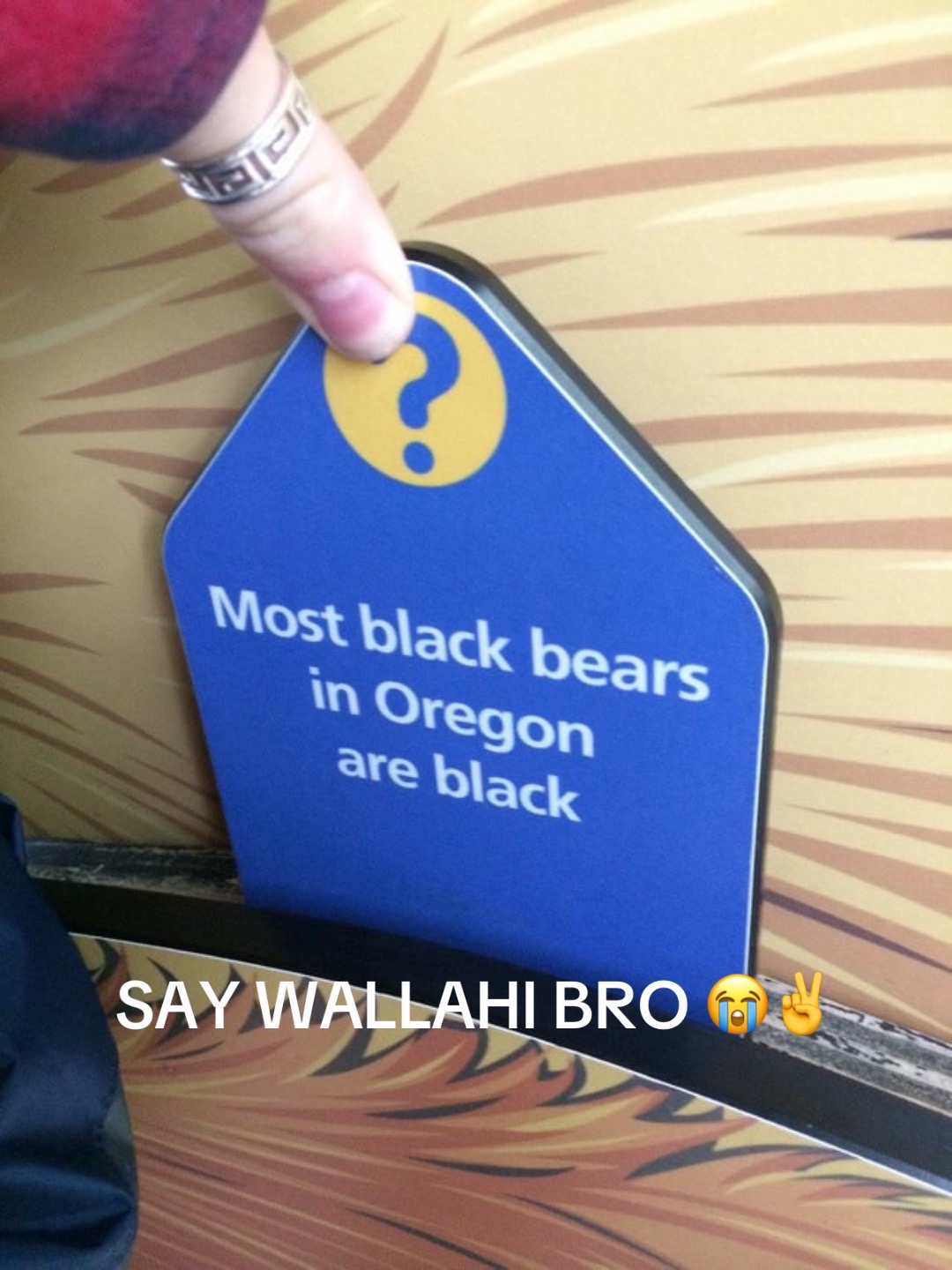 @Blube