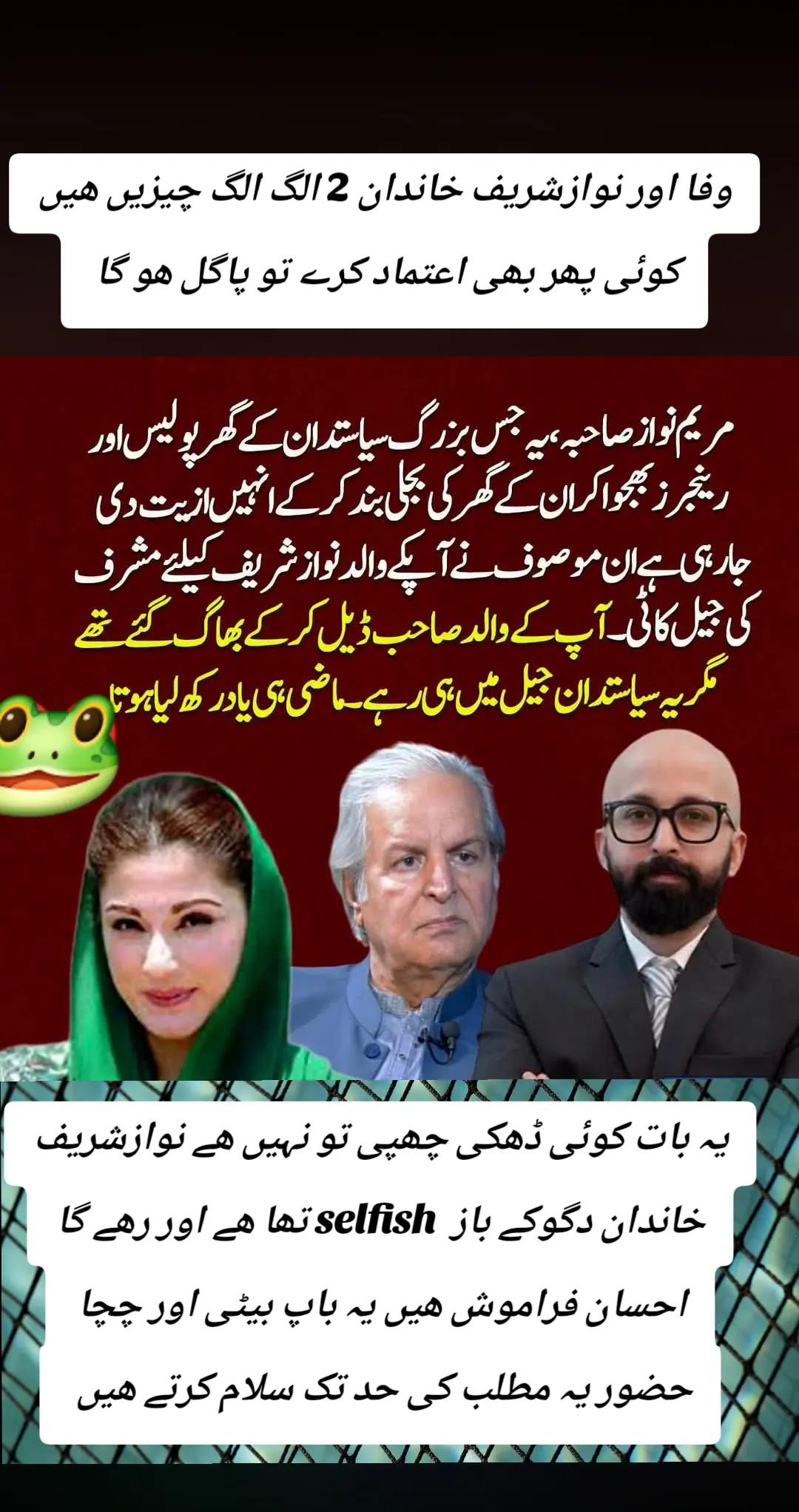 @اڈیالہ 804