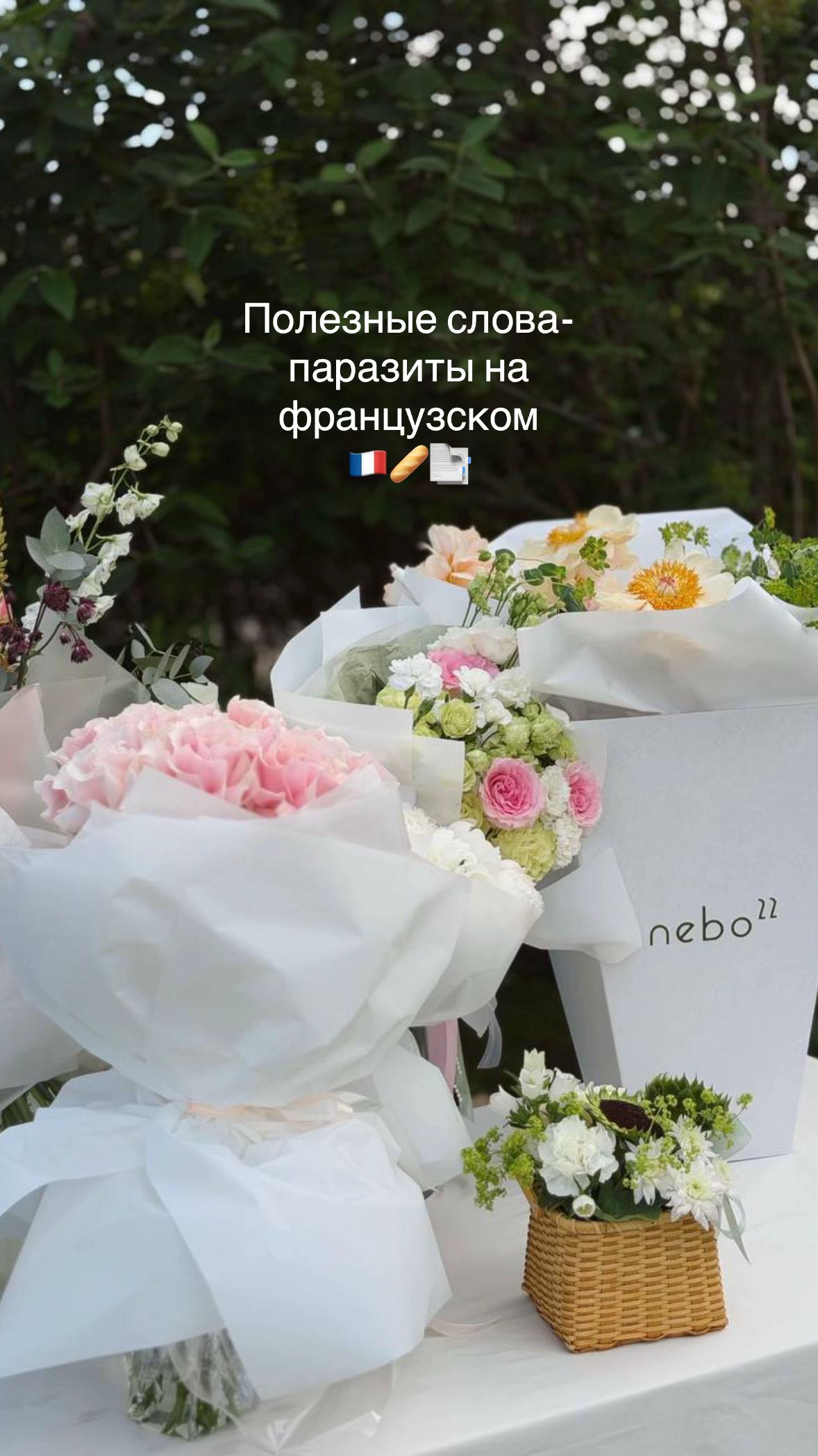 @Olga🇫🇷