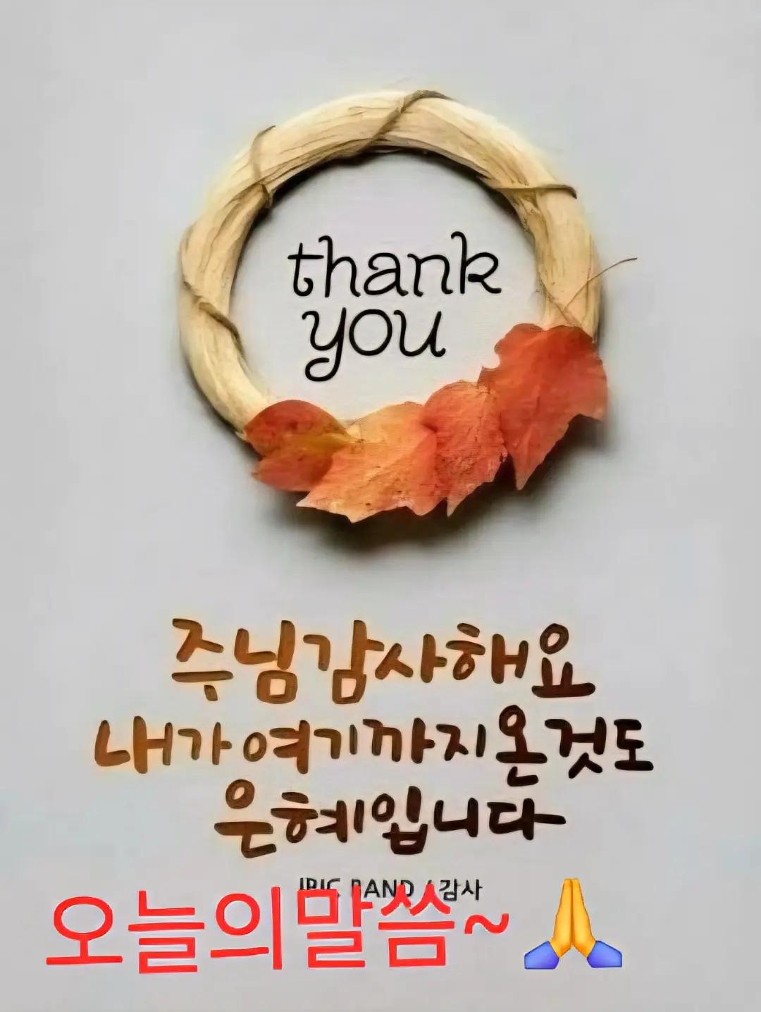 @미미네집으로