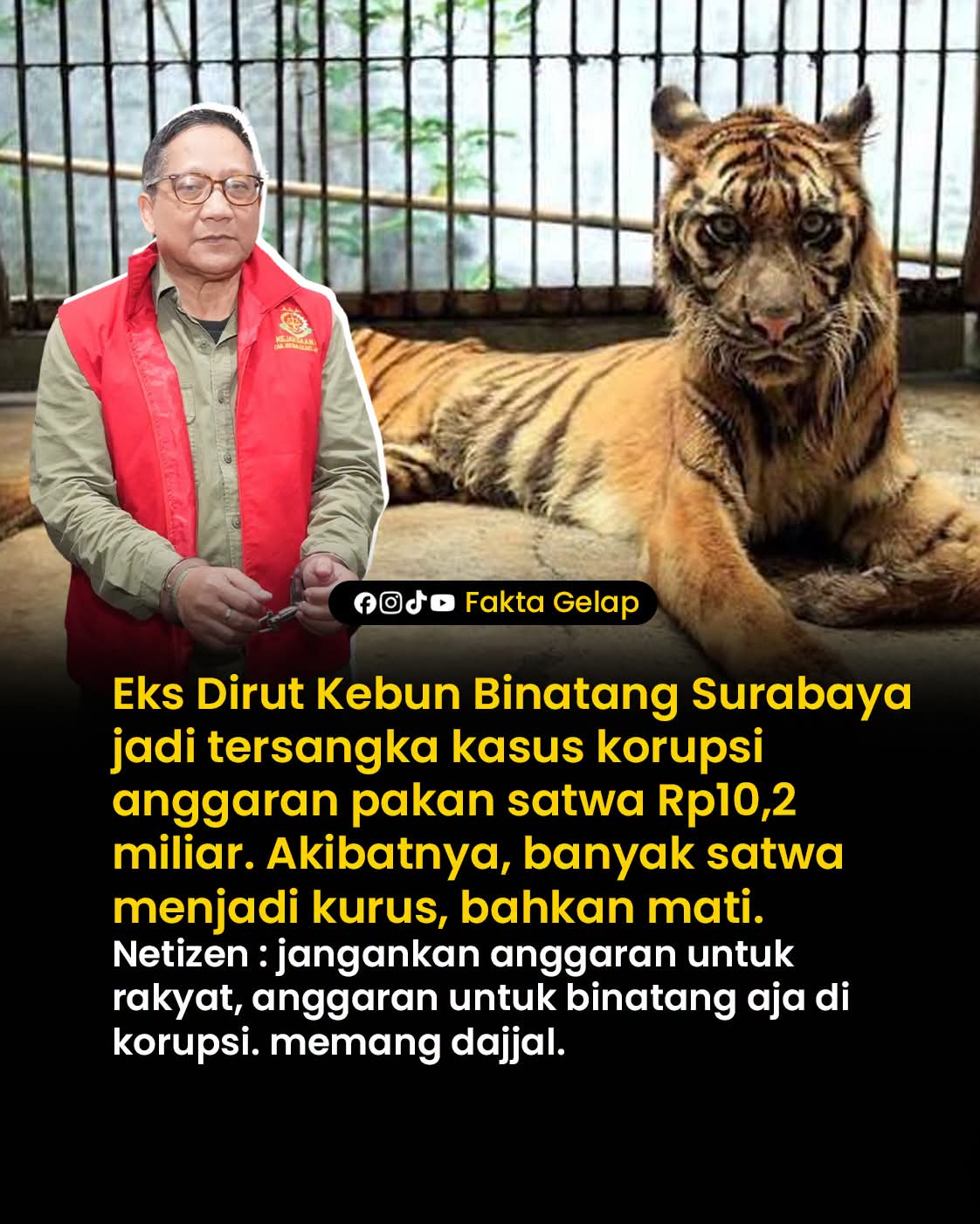 @🇮🇩Adek Gely😽❤️