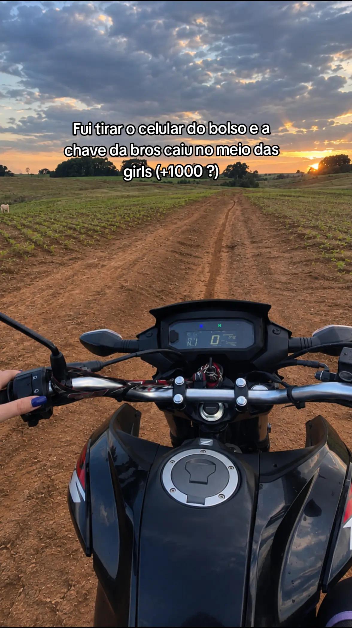 @thalia gerhardxv