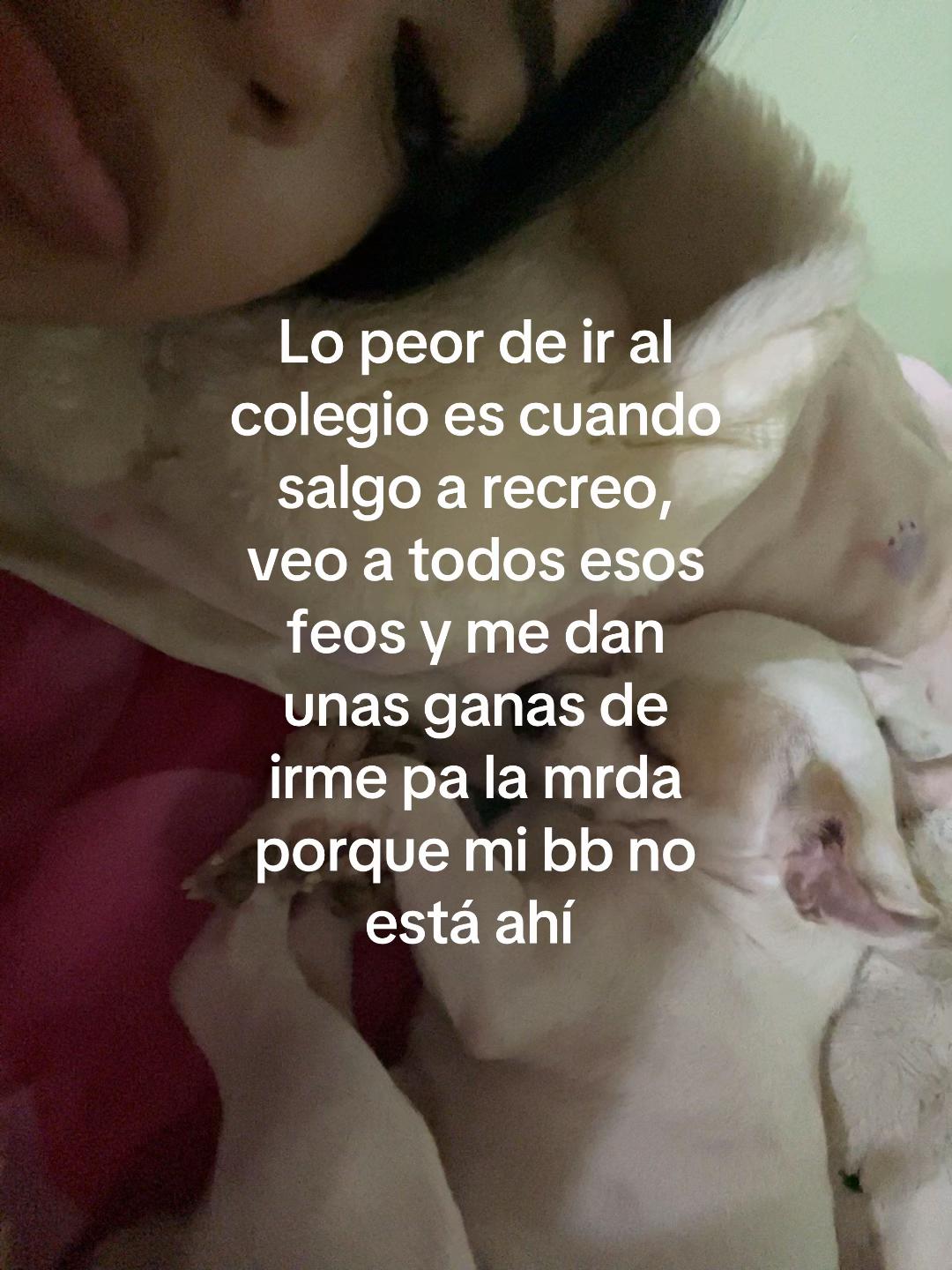 @Ari ʚଓ