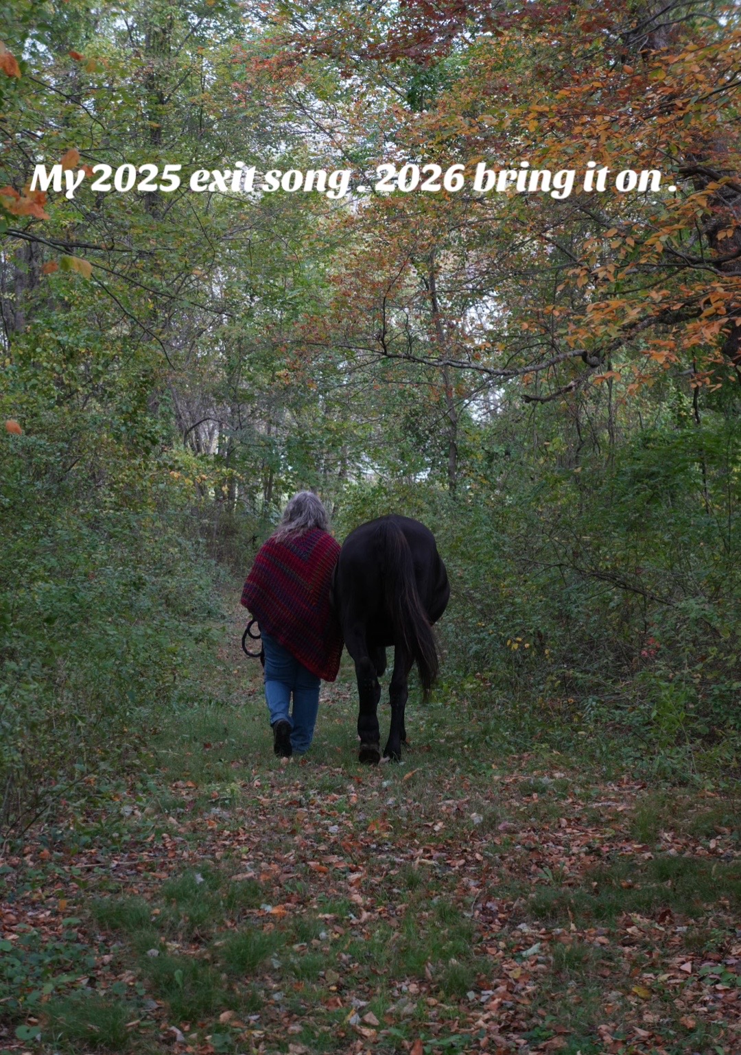 @Horseplay66