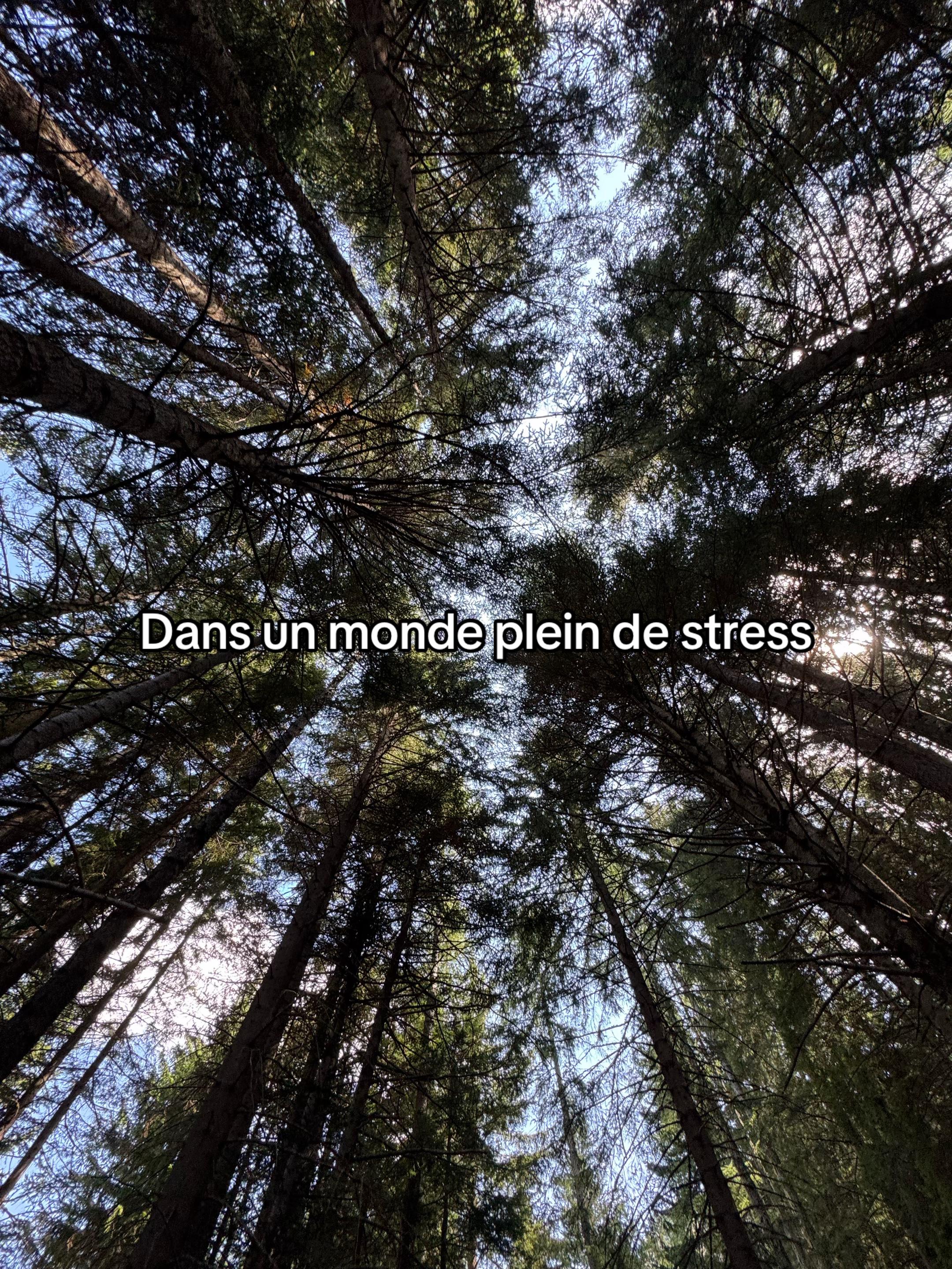 @Zenzen😞⛈️
