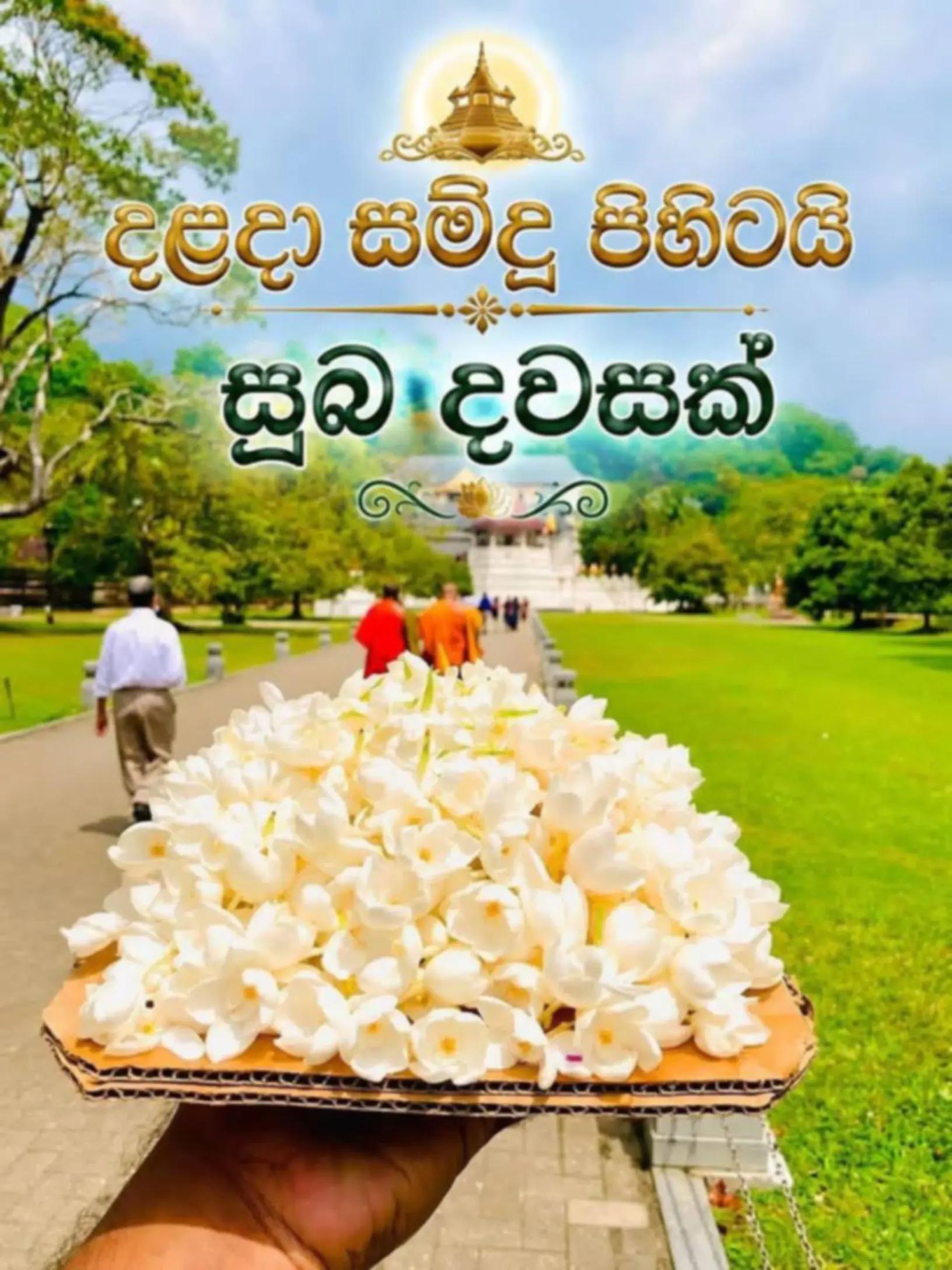 @prasanna