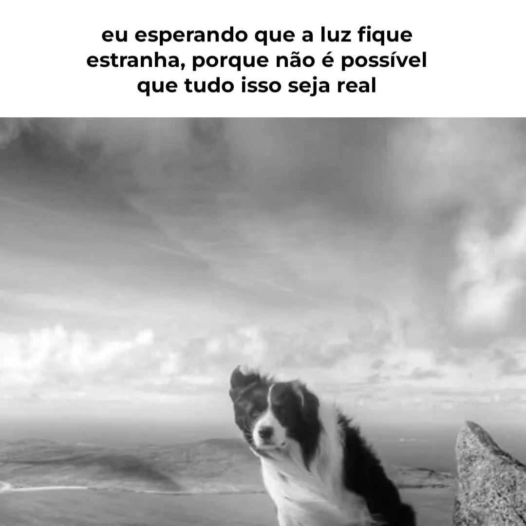 @levy sem i