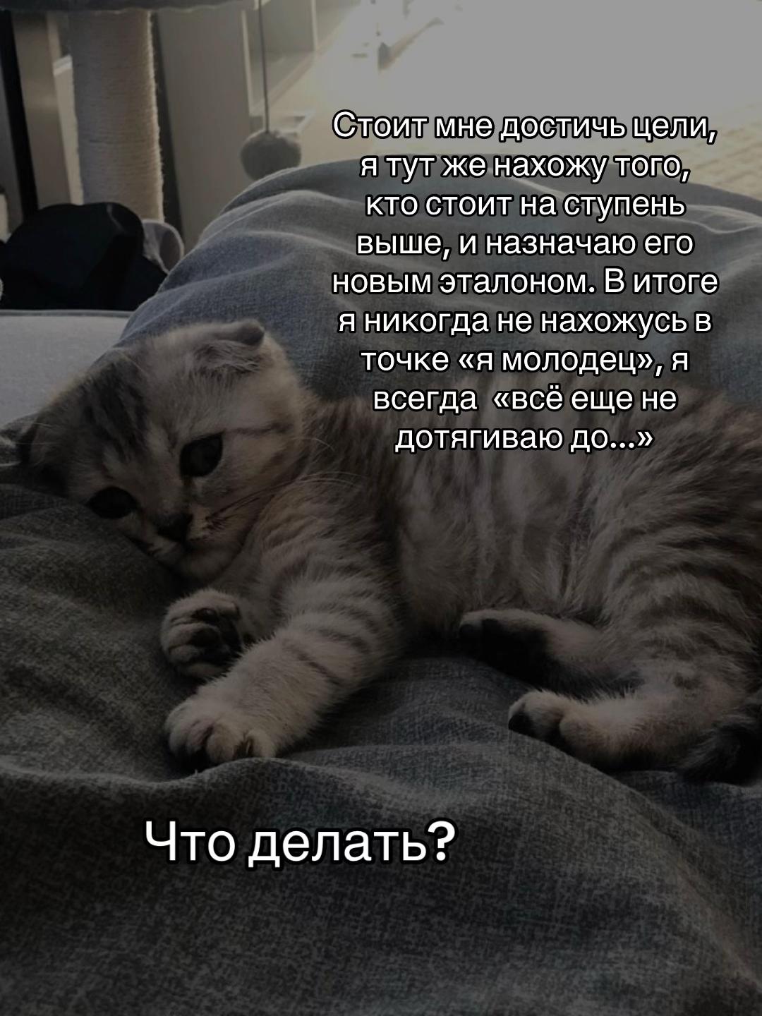 @тгк: психология с марго
