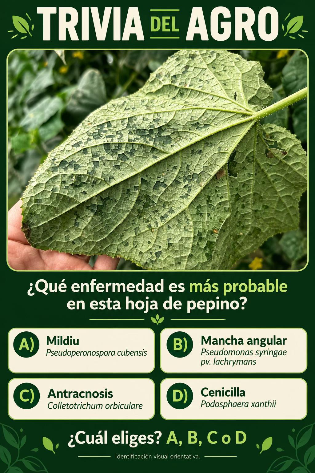 @elagronomo.lm