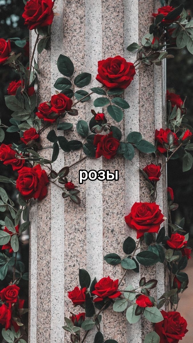 @🎭