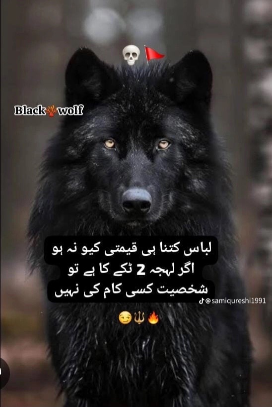 @usama hu yaar❤️🔥😜🤪