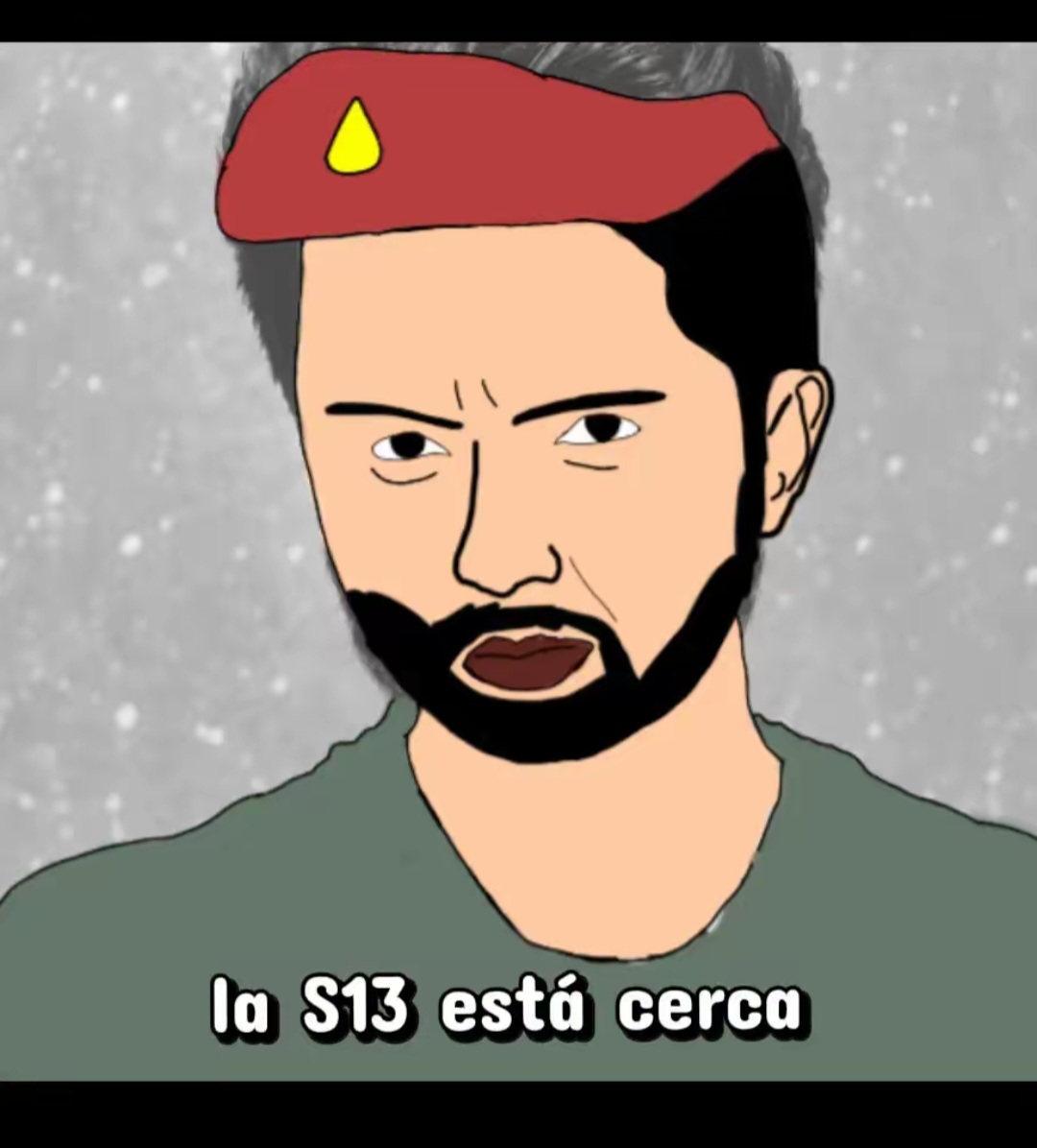 @gato de combate