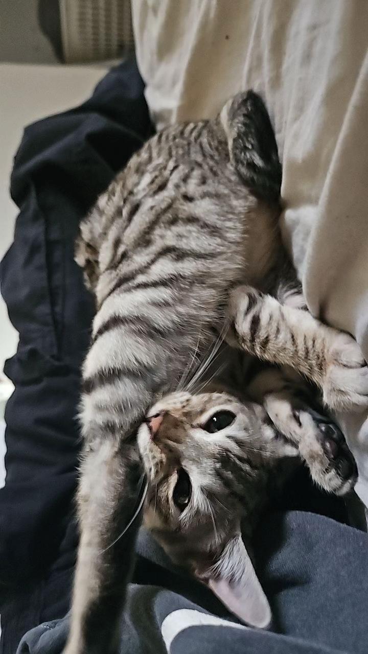 @🐈⬛wren.oh🐈⬛