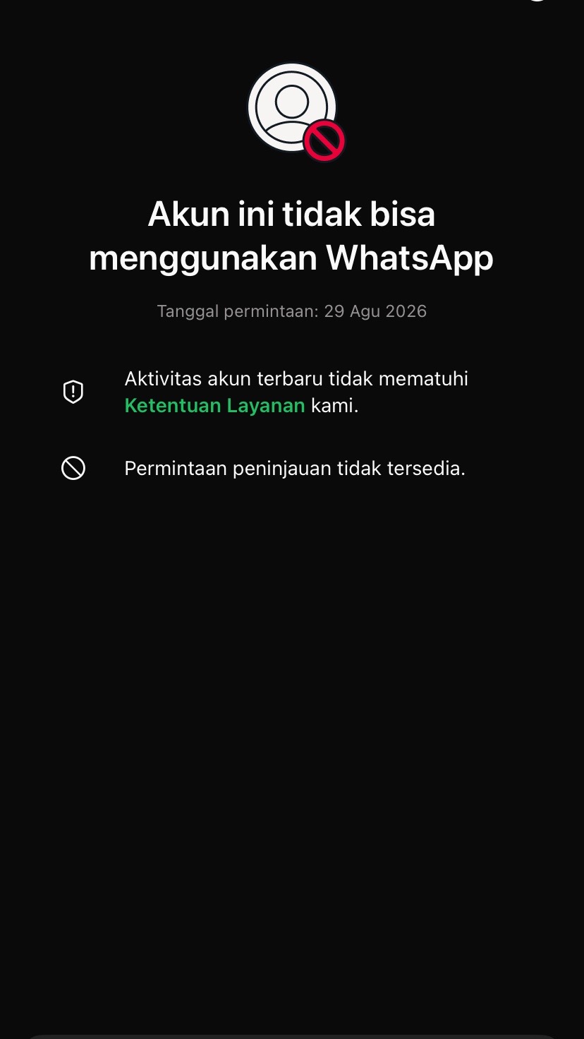 @ᴡɪʀʀʀ.