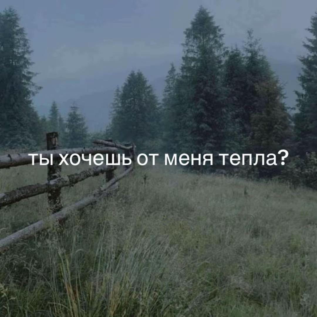 @spkrrrokyy