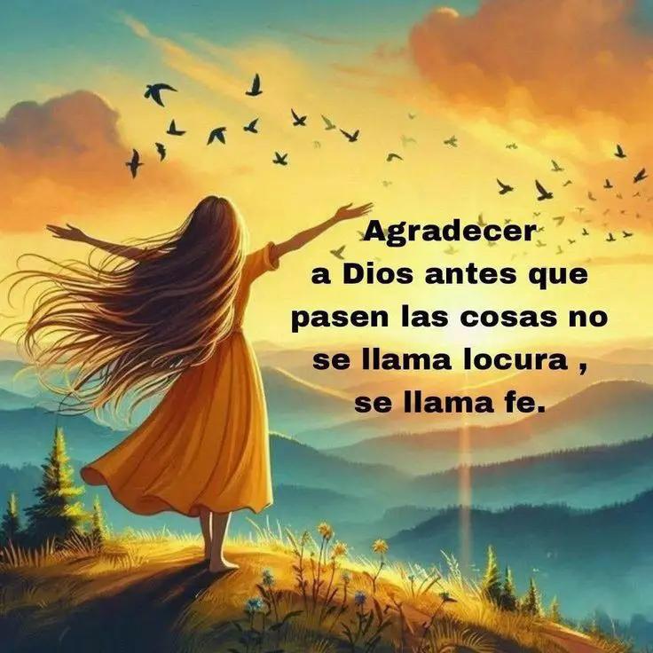 @elcirac11