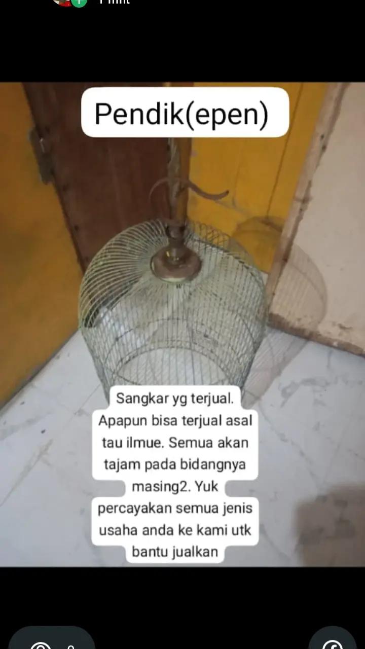 @sadaliwang