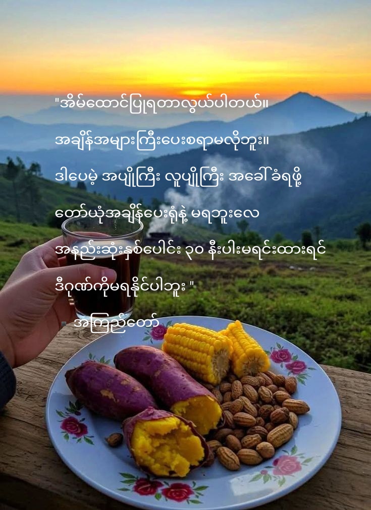 @T_N_P