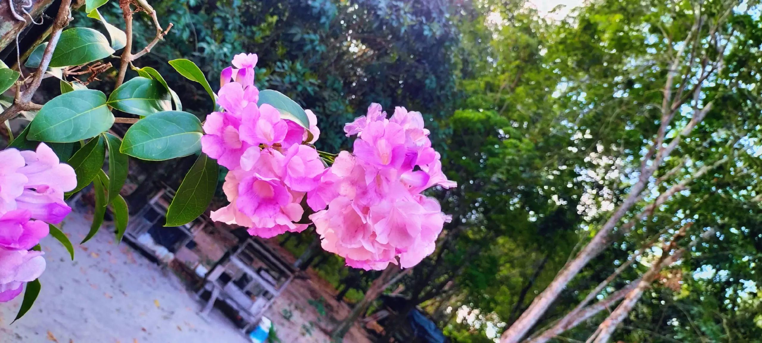 @baekyijin💕♥️