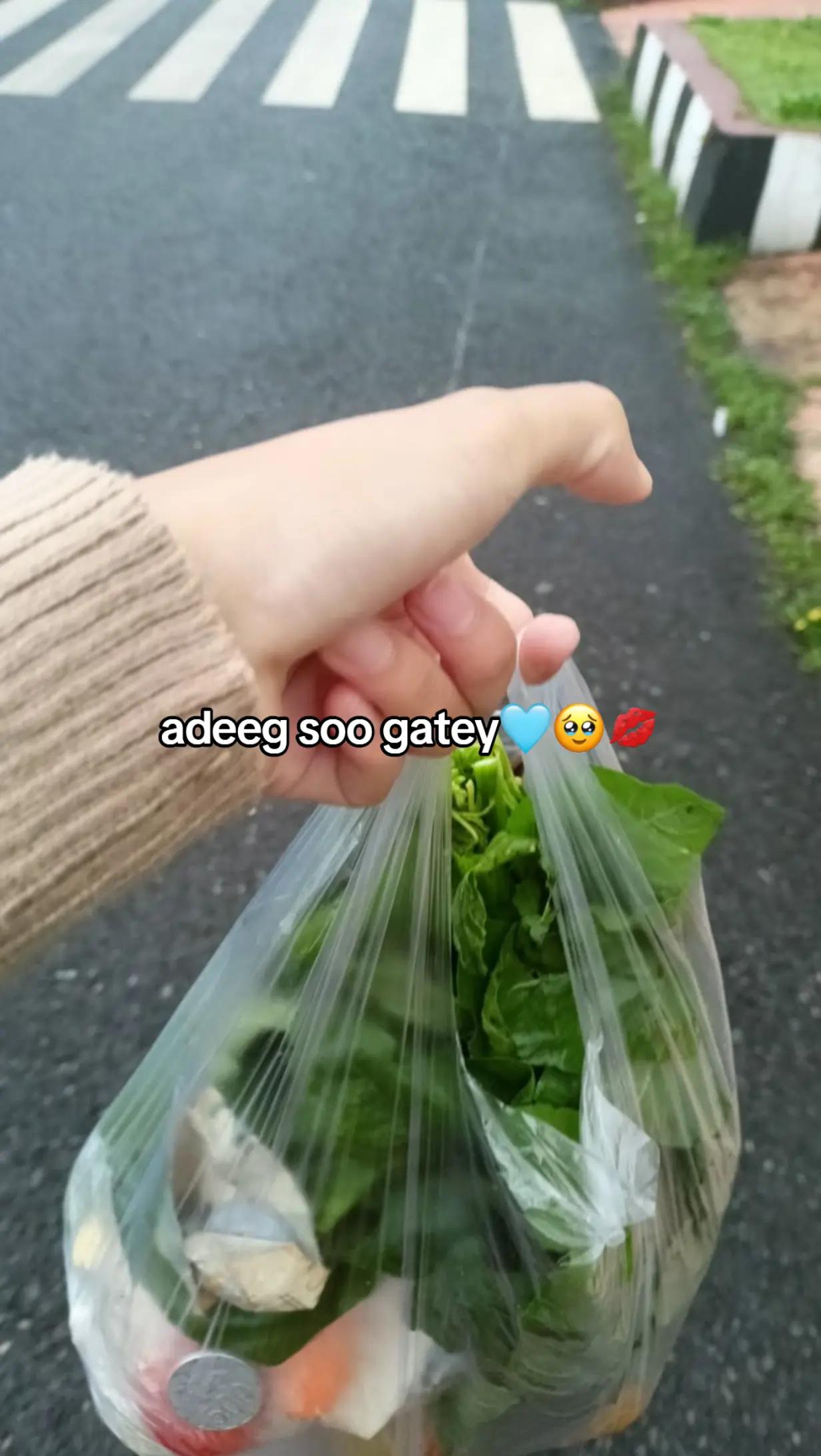 @AyaXee🐸🧝&zwj;♂️