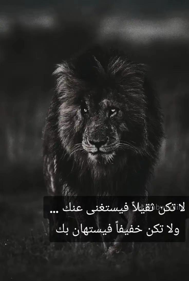 @🦁 scarface 🦁