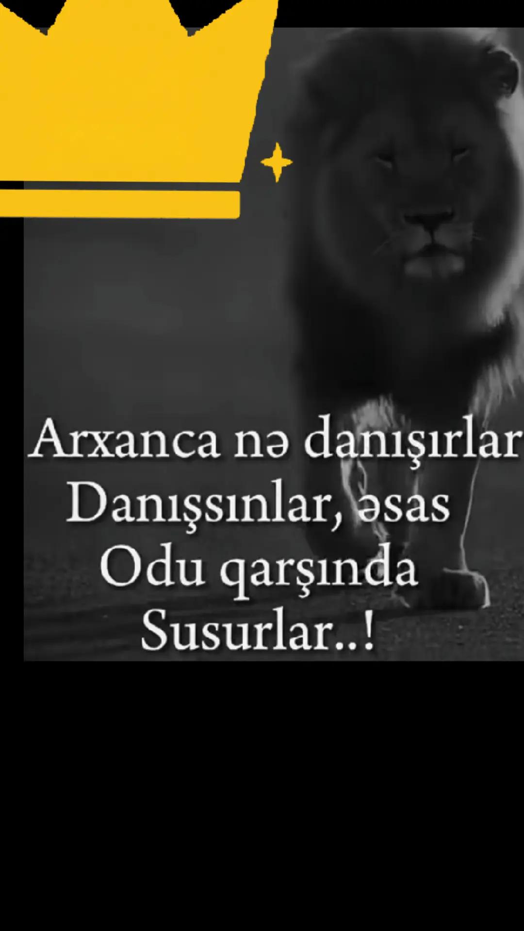 @🇦🇿☆TİK☆TOK☆⚒️☆KİNG🇹🇷👑