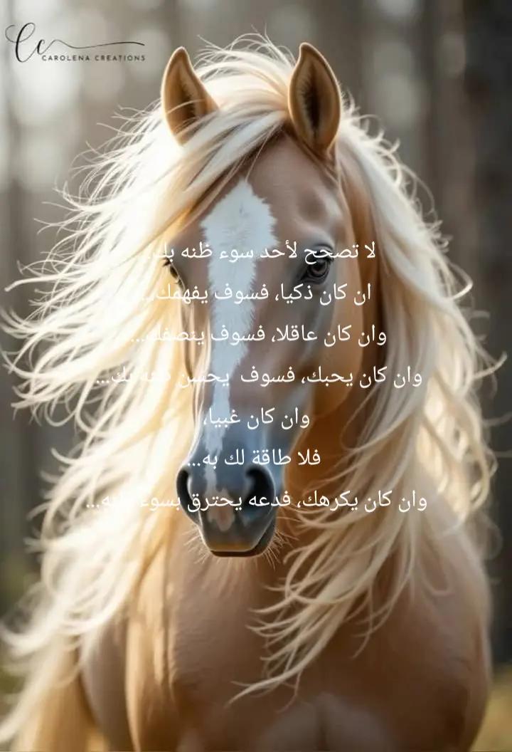 @ليلى فهد الشمالي