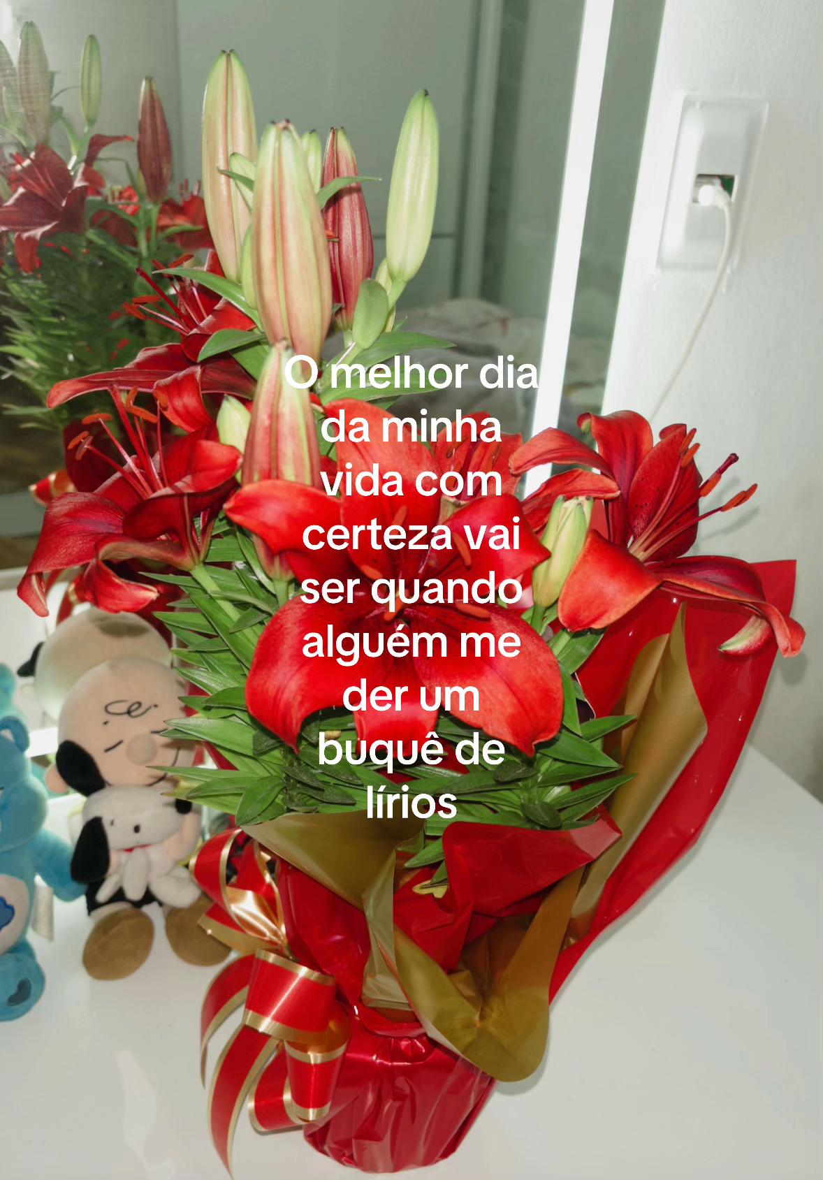 @Nicolle Gracielle