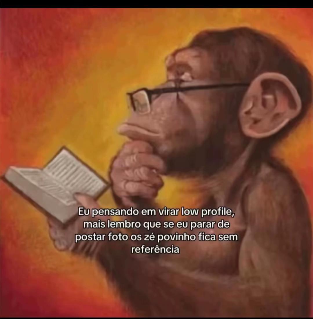 @raafaellesantos’