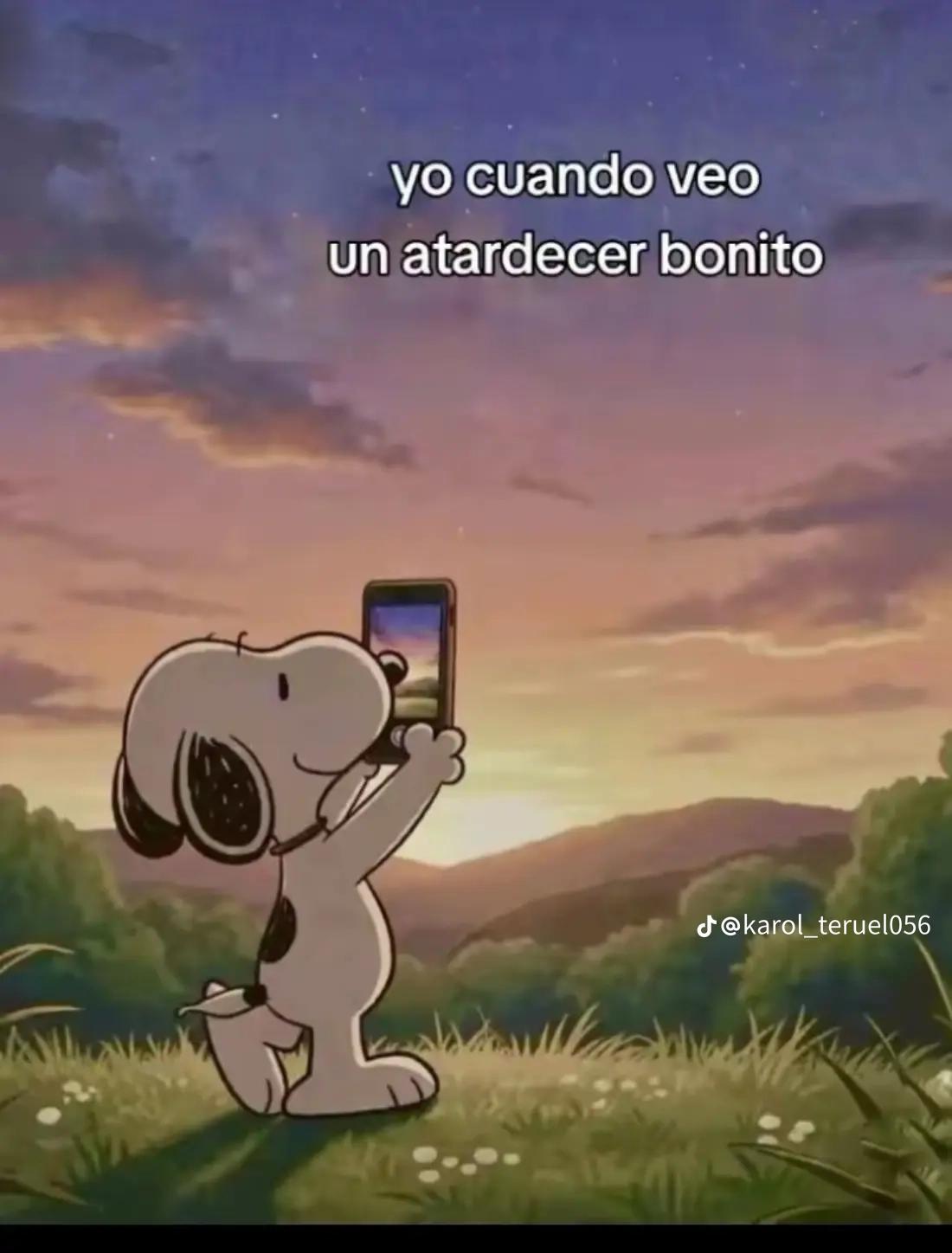 @anabely