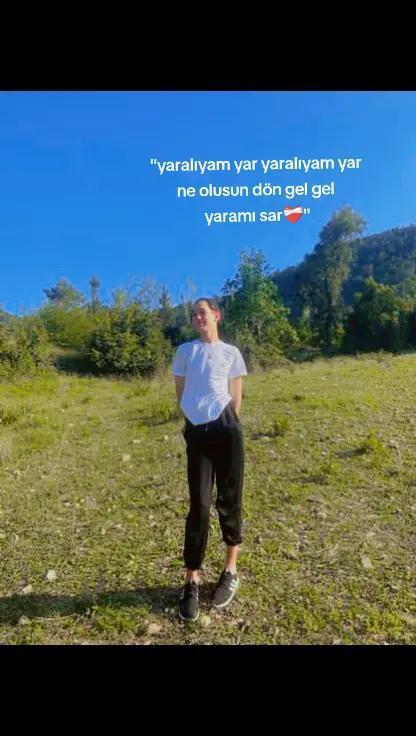 @bedo🐅