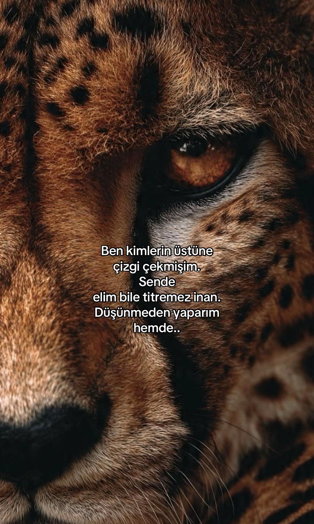 @kuralbenimmm