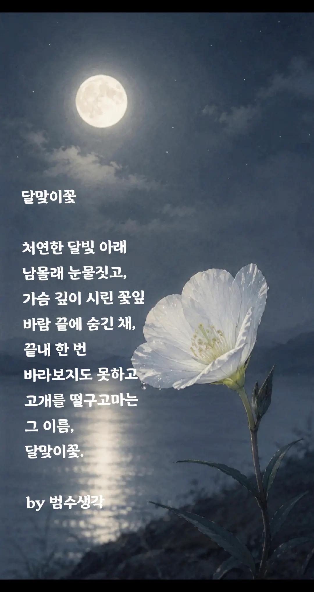 @✨️ 범수생각 ✨