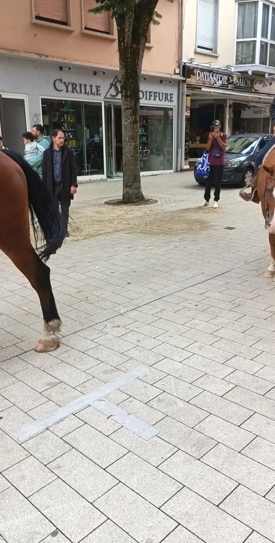 @la joie de vivre