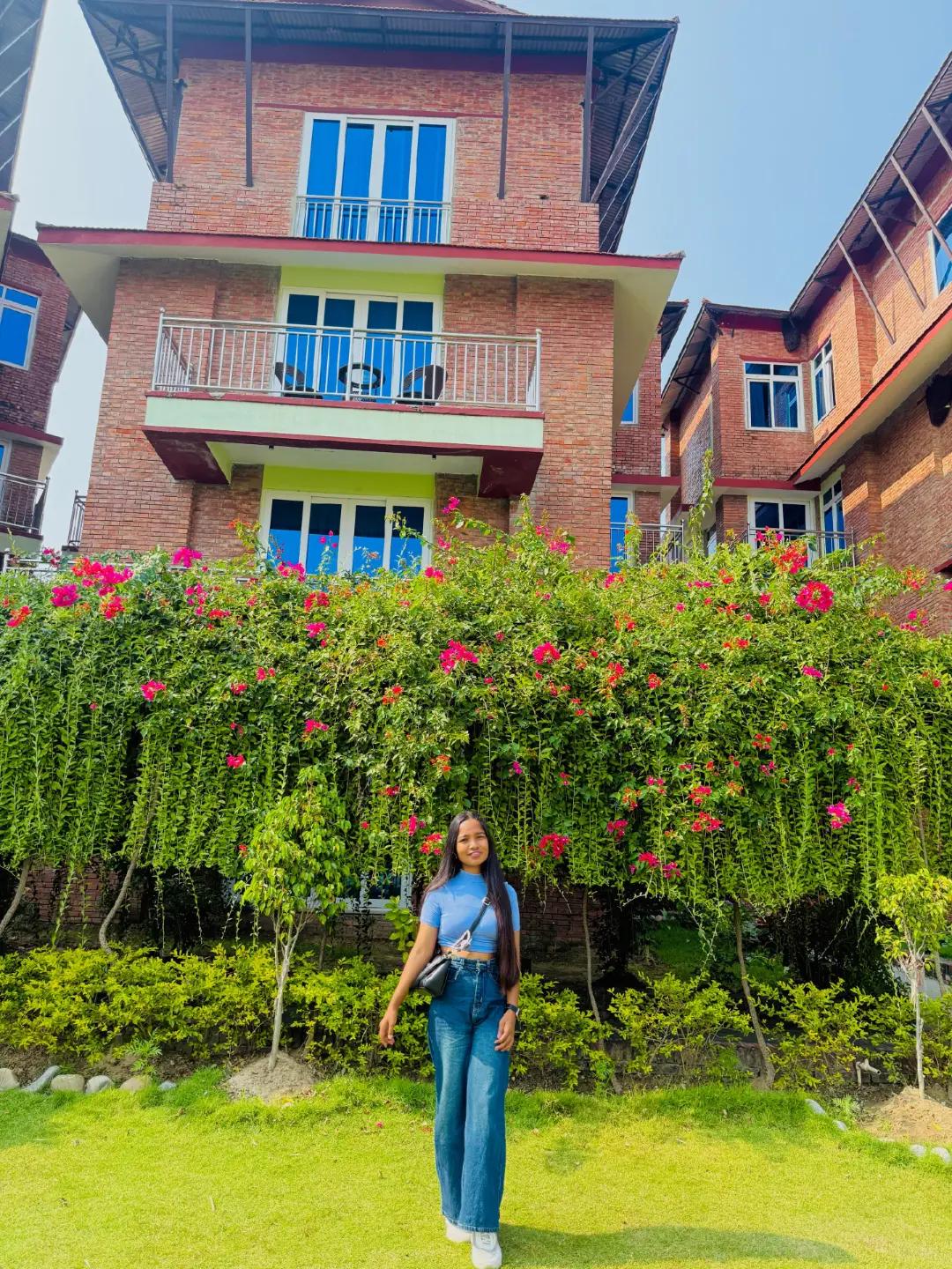 @Madhu Acharya 🕊️💜